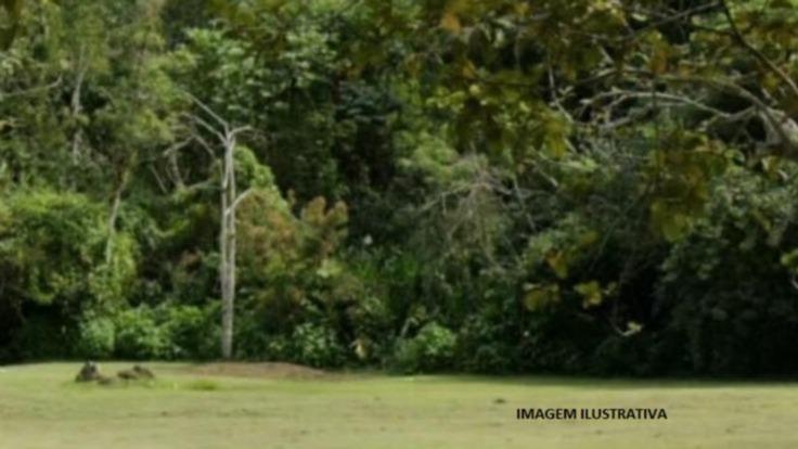 Desmembramento do imóvel "Palmeira", com 02.00.10ha na Zona Rural de Varre-sai/RJ.