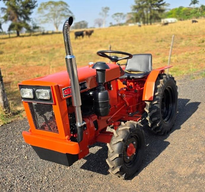 TRATOR AGRALE 415 - ANO 1990/ 100% RESTAURADO
